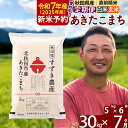【ふるさと納税】※令和7年産 新米予約※《定期便7ヶ月》秋田県産 あきたこまち 30kg【白米/玄米】(5kg小分け袋) 2025年産 お届け周期調整可能 隔月に調整OK お米 すずき農産
