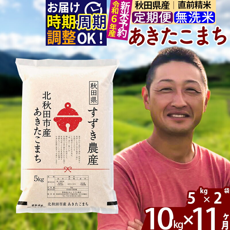 ※令和6年産 新米予約※《定期便11ヶ月》秋田県産 あきたこまち 10kg【無洗米】(5kg小分け袋) 2024年産 お届け周期調整可能 隔月に調整OK お米 すずき農産