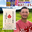 【ふるさと納税】※令和6年産 新米予約※《定期便3ヶ月》秋田