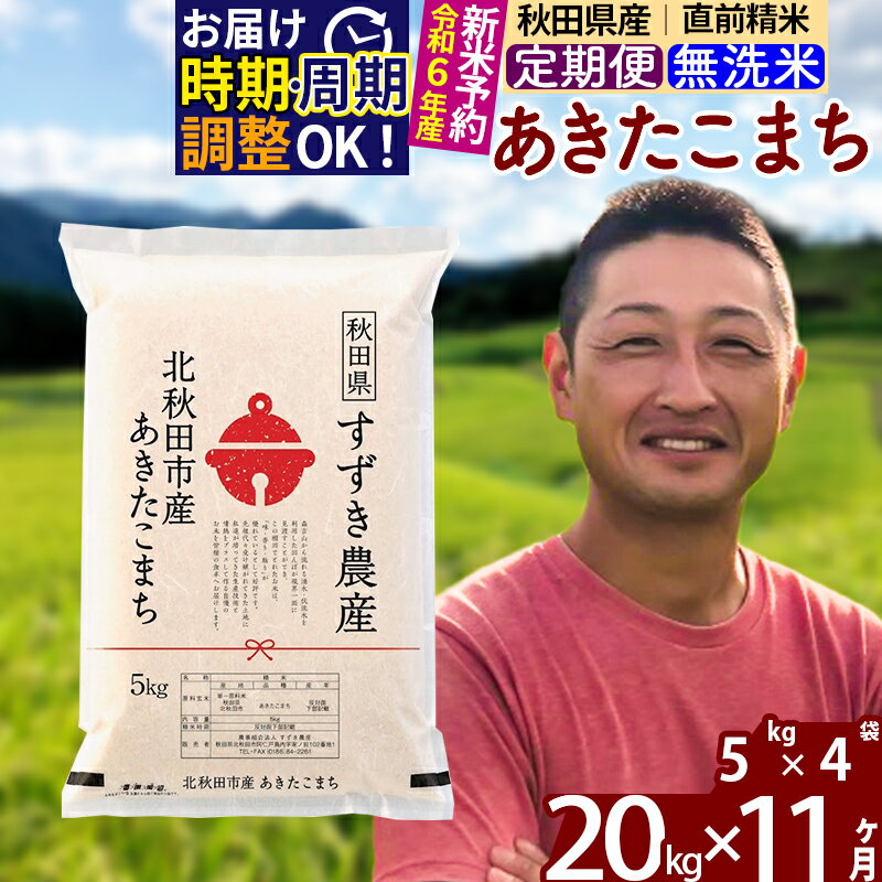 【ふるさと納税】※令和6年産 新米予約※《定期便11ヶ月》秋田県産 あきたこまち 20kg【無洗米】(5kg小分け袋) 2024年産 お届け周期調整可能 隔月に調整OK お米 すずき農産