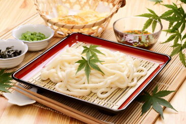 【ふるさと納税】のど越しの良い象潟うどん定期便(5束×12ヵ月) 【定期便・麺類・うどん・乾麺・12ヶ月・12回】
