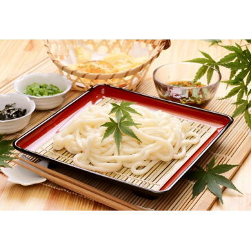 【ふるさと納税】のど越しの良い象潟うどん定期便(5束×12ヵ月) 【定期便・麺類・うどん・乾麺・12ヶ月・12回】