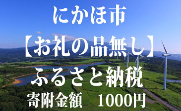 【ふるさと納税】寄附のみの応援受付 1,000円コース（返礼品なし 寄附のみ 1000円）　【チケット】