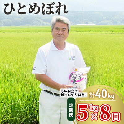 【ふるさと納税】〈定期便〉 ひとめぼれ 白米 5kg×8回 計40kg 8ヶ月 令和3年 精米 土づくり実証米 毎年11月より 新米 出荷　【定期便・お米・米】