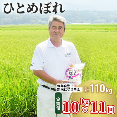 【ふるさと納税】10kg×11ヵ月！秋田県産ひとめぼれ(土づくり実証米 定期便 10kg 11ヶ月 計110kg)　【定期便・お米・ひとめぼれ・11カ月・11回】