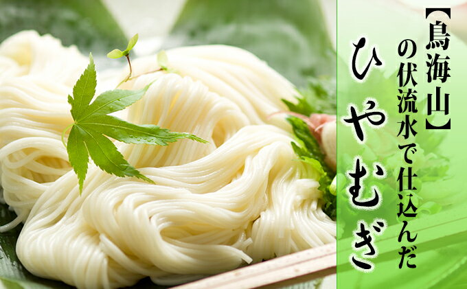 即納特典付き ふるさと納税 ひやむぎ5束 10人前 の定期便 4ヵ月連続 定期便 麺類 冷麦 在庫あり 即納 Www Mandprojetos Com Br 即納特典付き ふるさと納税 ひやむぎ5束 10人前 の定期便 4ヵ月連続 定期便 麺類 冷麦 在庫あり 即納 Www Mandprojetos Com Br
