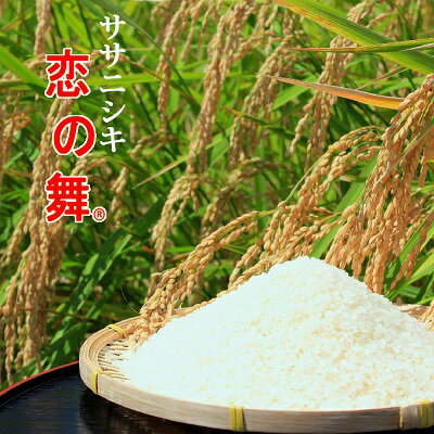 【ふるさと納税】数量限定！ササニシキ 10kg 鯉のアラを堆肥に使用した「恋の舞」　【米 お米 ササニシキ 10kg サブスク】