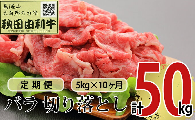 【ふるさと納税】《定期便》10ヶ月連続 秋田由利牛 バラ切り落とし 5kg（1kg×5パック）　【定期便・ お肉 肉 牛肉 バラ 炒め物 黒毛和牛 赤身 サシ 10回 産地直送 冷凍 】