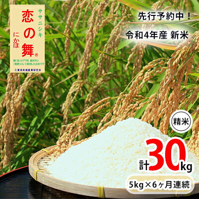 【ふるさと納税】先行予約中！《定期便》令和4年産 新米 11月から発送 恋の舞 ササ...