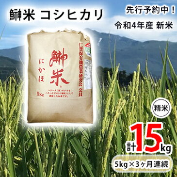 【ふるさと納税】先行予約中！《定期便》令和4年産 新米 11月から発送 鰰米 コシヒカリ にかほ 精米 5kg 3ヶ月連続お届け 計15kg　【定期便・ お米 コシヒカリ 秋田県産 特別栽培認証】　お届け：2023年12月下旬まで