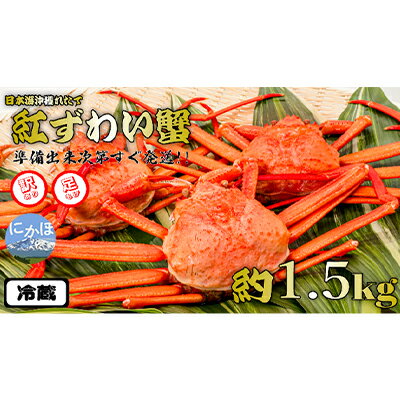 【ふるさと納税】《訳あり》冷蔵でお届け！日本海沖で獲れた紅ズワイガニ 約1.5kg（かに カニ ずわいがに）　【 ずわい蟹 ずわいガニ ズワイガニ 蟹 カニ 加工食品 魚貝類】