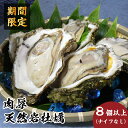 【ふるさと納税】先行予約 秋田の肉厚な天然岩牡蠣(岩ガキ 8個以上)ナイフ無し かき カキ 秋田県 にかほ市産 天然 岩牡蠣 殻付 牡蠣 海産物 魚介類 海鮮 お届け:2025年7月10日~2025年8月10日