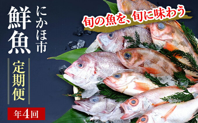 【ふるさと納税】開けたらすぐ食べられる日本海の鮮魚定期便（2～3人前・年4回）(魚介 下処理済み 詰合せ 詰め合わせ セット)　【定期便・魚貝類 加工食品 頒布会 魚介類】