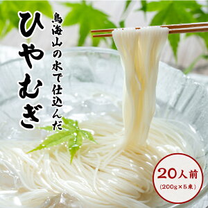【ふるさと納税】喉越しの良い象潟うどんとひやむぎセット(各5束合計10束 20人前 乾麺) 麺類 冷や麦 冷麦 大量 長期保存