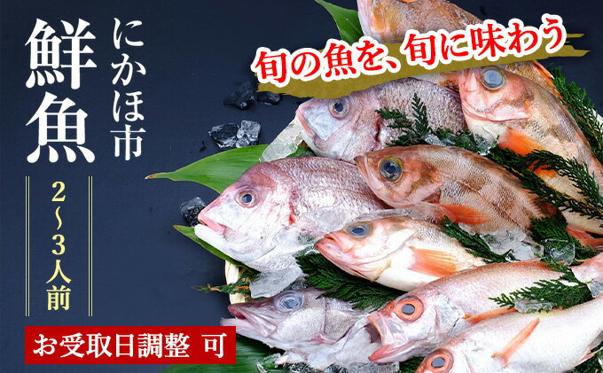 【ふるさと納税】開けたらすぐ食べられる日本海の鮮魚詰合せ（2～3人前）(魚介 下処理済み 詰め合わせ セット)　【魚介 切り身 パック 蟹 カニ】