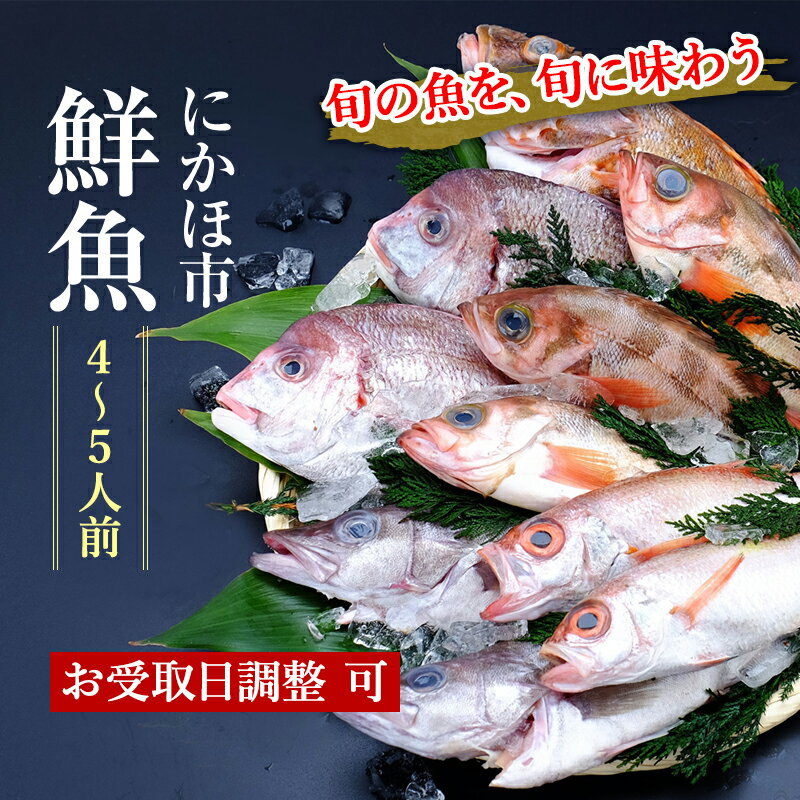 詰め合わせ 【ふるさと納税】開けたらすぐ食べられる日本海の鮮魚詰合せ（4～5人前）(魚介 下処理済み 詰め合わせ セット)　【魚介 切り身 パック 蟹 カニ】