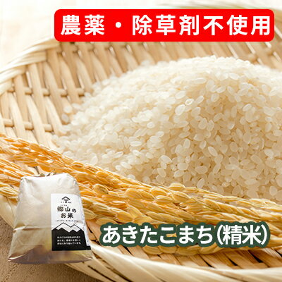 農薬・除草剤不使用で栽培したあきたこまち「郷山のお米 2kg」(精米) [お米 米]