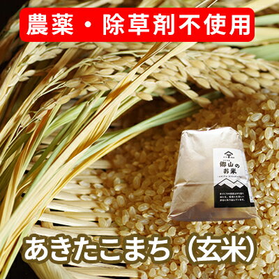 農薬・除草剤不使用で栽培したあきたこまち「郷山のお米 20kg」(5kg×4袋 玄米) [玄米 お米 米]