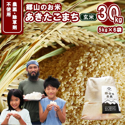 農薬・除草剤不使用で栽培したあきたこまち「郷山のお米 30kg」(5kg×6袋 玄米) [玄米 お米 米 秋田県産]