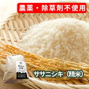 農薬・除草剤不使用で栽培したササニシキ「郷山のお米 10kg」（5kg×2袋 精米）　