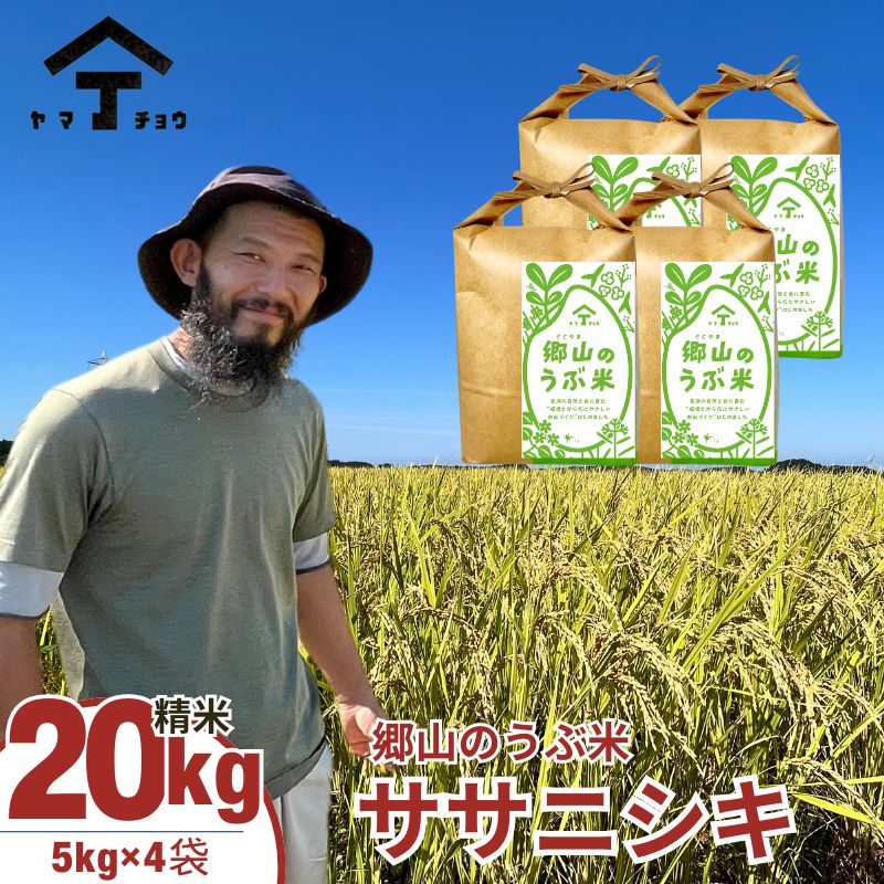 農薬・除草剤不使用で栽培したササニシキ「郷山のお米 20kg」（5kg×4袋 精米）　【お米 米】