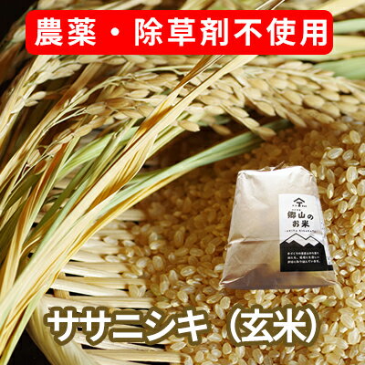農薬・除草剤不使用で栽培したササニシキ「郷山のお米 2kg」（玄米）　【玄米 お米 米】