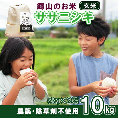 【ふるさと納税】農薬・除草剤不使用で栽培したササニシキ「郷山のお米 10kg」（5kg×2袋 玄米）　【玄米 お米 米】