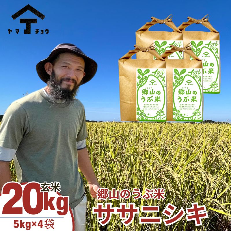 農薬・除草剤不使用で栽培したササニシキ「郷山のお米 20kg」（5kg×4袋 玄米）　【玄米 お米 米】