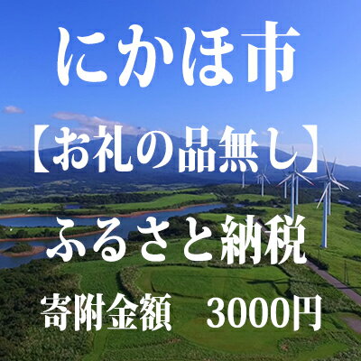 寄附のみの応援受付 3,000円コース(返礼品なし 寄附のみ 3000円) [チケット]