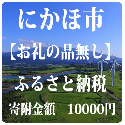 寄附のみの応援受付 10,000円コース(返礼品なし 寄附のみ 10000円) [チケット]