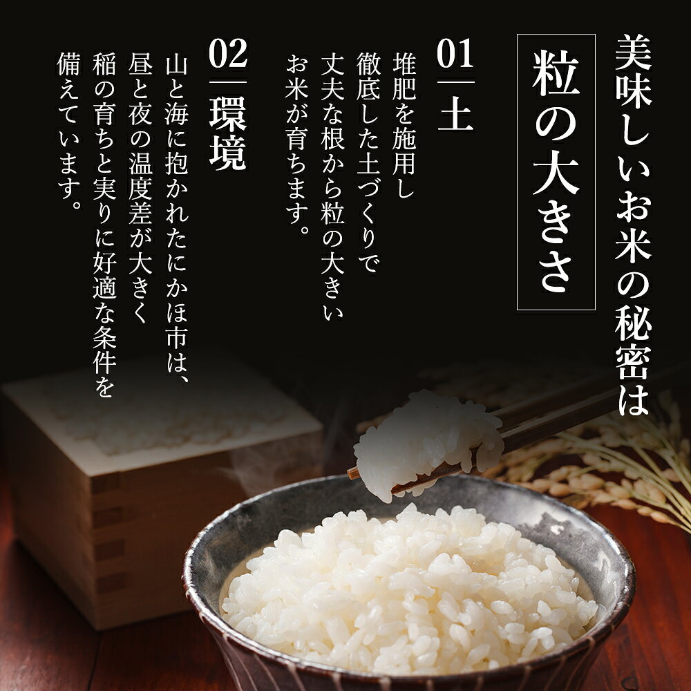 【ふるさと納税】【新米先行予約】米 定期便 全6回 あきたこまち 5kg ×6回 計30kg 令和8年産〈土づくり実証米〉JAしんせい【 精米 白米 米 コメ お米 ブランド米 ご飯 秋田 にかほ 】　お届け：2026年11月以降、毎月中旬頃6ヶ月連続でお届けします。 f052141-nikaho-10000458 秋田県にかほ市 サンプル画像3