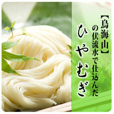 ひやむぎ5束（10人前）の定期便（4ヵ月連続）　【定期便・麺類 冷麦】