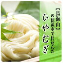 【ふるさと納税】ひやむぎ5束(10人前)の定期便(10ヵ月連続) 麺類 冷麦