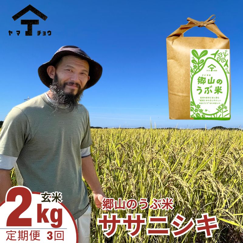 【ふるさと納税】秋田県産ササニシキ（玄米）郷山のお米2kg×3ヶ月定期便（3回 3ヵ月）　【定期便・ササニシキ 玄米 お米】