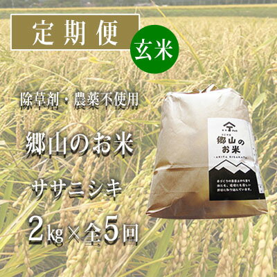 【ふるさと納税】秋田県産ササニシキ（玄米）郷山のお米2kg×5ヶ月定期便（5回 5ヵ月）　【定期便・ササニシキ 玄米 お米】