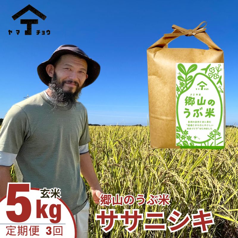 【ふるさと納税】秋田県産ササニシキ（玄米）郷山のお米5kg×3ヶ月定期便（3回 3ヵ月）　【定期便・ササニシキ 玄米 お米】