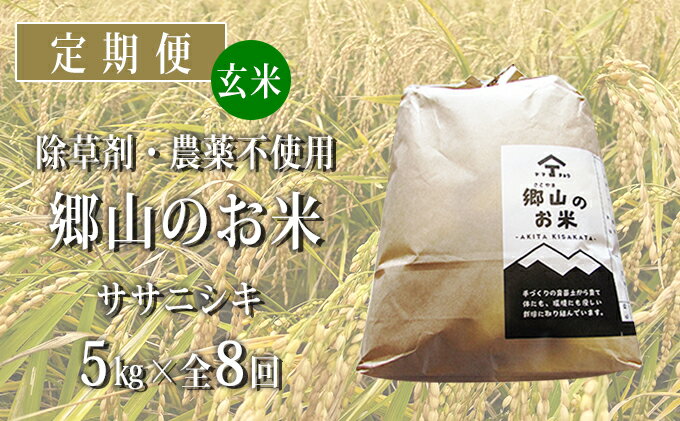 【ふるさと納税】秋田県産ササニシキ（玄米）郷山のお米5kg×8ヶ月定期便（8回 8ヵ月）　【定期便・ササニシキ 玄米 お米】