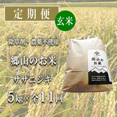 【ふるさと納税】秋田県産ササニシキ（玄米）郷山のお米5kg×11ヶ月定期便（11回 11ヵ月）　【定期便・ササニシキ 玄米 お米】