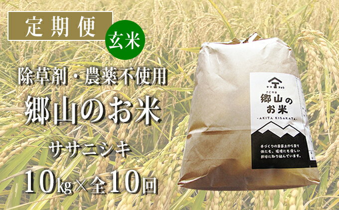 【ふるさと納税】秋田県産ササニシキ（玄米）郷山のお米10kg（5kg×2袋）×10ヶ月定期便（10回 10ヵ月）　【定期便・ササニシキ 玄米 お米】