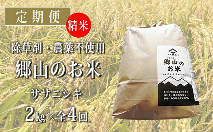 【ふるさと納税】秋田県産ササニシキ（精米）郷山のお米2kg×4ヶ月定期便（4回 4ヵ月）　【定期便・米 お米 ササニシキ】