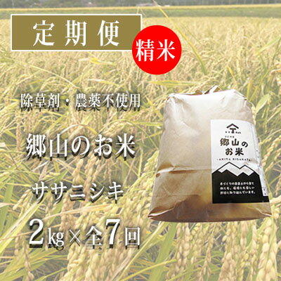 秋田県産ササニシキ（精米）郷山のお米2kg×7ヶ月定期便（7回 7ヵ月）　【定期便・米 お米 ササニシキ】