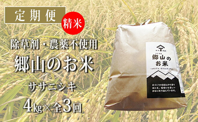 【ふるさと納税】秋田県産ササニシキ（精米）郷山のお米4kg（2kg×2袋）×3ヶ月定期便（3回 3ヵ月）　【定期便・米 お米 ササニシキ】