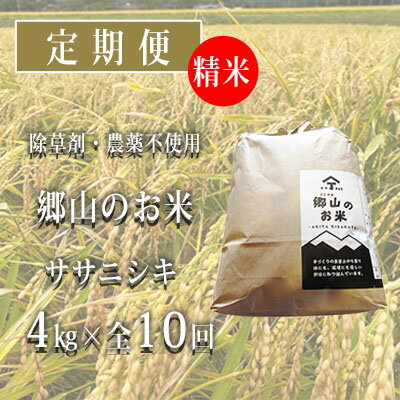 秋田県産ササニシキ（精米）郷山のお米4kg（2kg×2袋）×10ヶ月定期便（10回 10ヵ月）　【定期便・米 お米 ササニシキ】