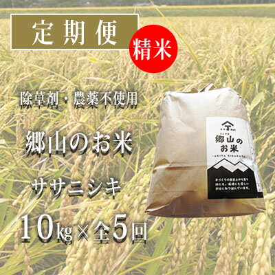 秋田県産ササニシキ（精米）郷山のお米10kg（5kg×2袋）×5ヶ月定期便（5回 5ヵ月）　【定期便・米 お米 ササニシキ】