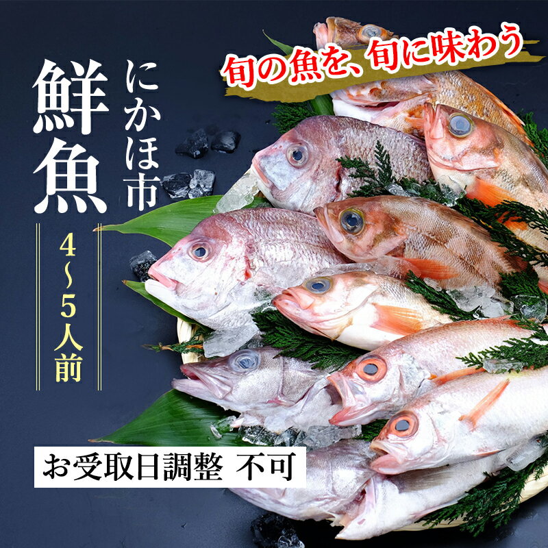 【ふるさと納税】発送メールのみ 日本海の鮮魚詰め合わせ（4～