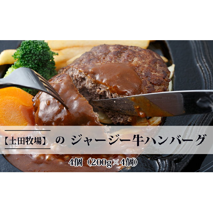 20位! 口コミ数「0件」評価「0」ジャージー牛を使用した ハンバーグ 4個（200g×4個）　【お肉 ハンバーグ 加工食品 惣菜 レトルト ジャージー牛】