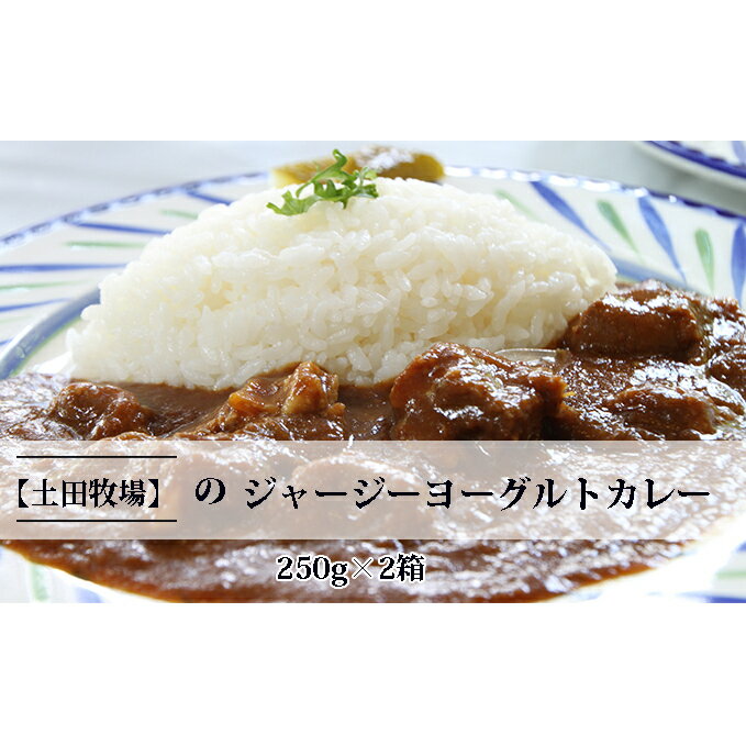 ジャージーヨーグルトカレー 250g×2箱 [加工食品 惣菜 レトルト カレー インスタント]