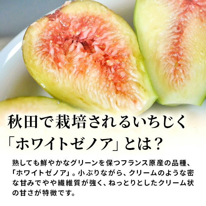 �ڤդ뤵��Ǽ�ǡۥե������� ��������6kg��1kg��6�ޡ� ��ʪ�͹礻 �ե롼�� ���� ̵�ֲ�