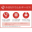 【ふるさと納税】みまもりでんわサービス(固定電話6か月) チケット 地域のお礼の品 カタログ(3)