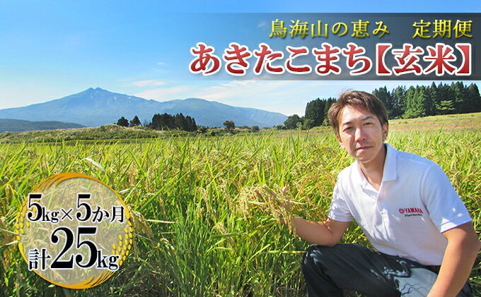 【ふるさと納税】【定期便】5kg×5ヶ月 鳥海山の恵み 農家直送！ あきたこまち（玄米）　【定期便・お米 あきたこまち 玄米 5ヶ月 5回 サブスク】